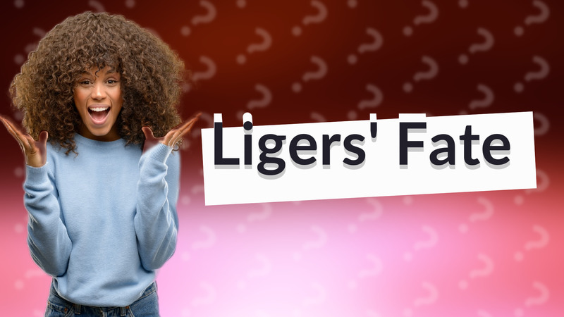 Ligers' Fate
