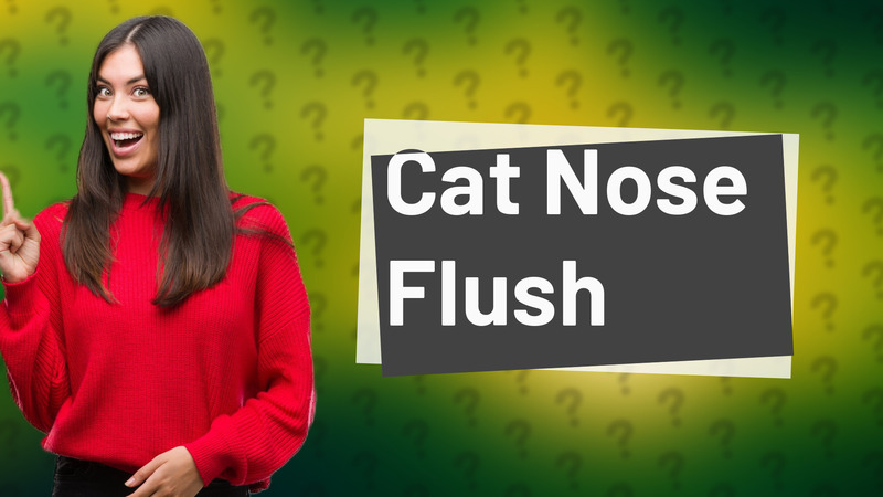 Cat Nose Flush