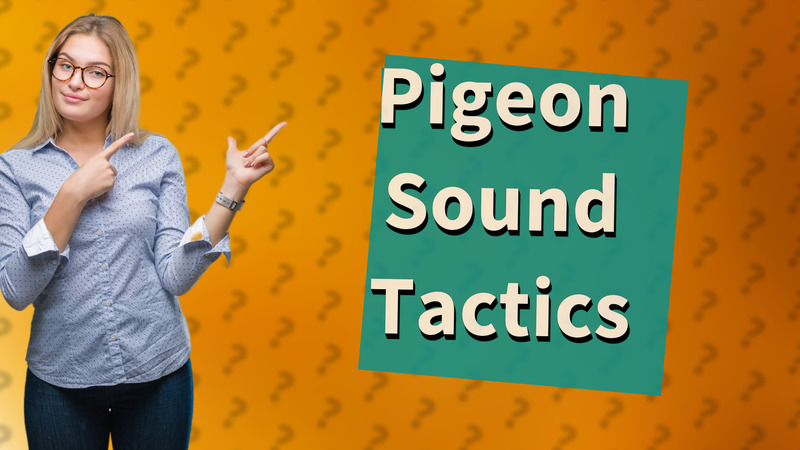 Pigeon Sound Tactics