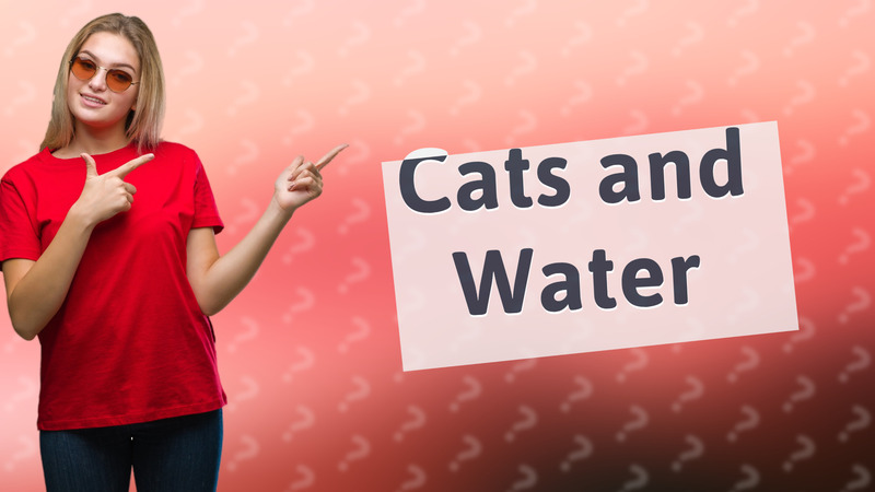 Cats and Water