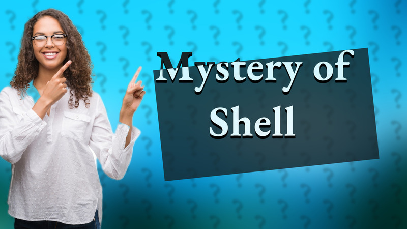 Mystery of Shell