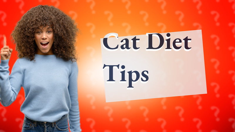 Cat Diet Tips