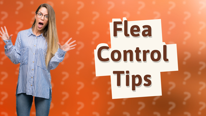 Flea Control Tips