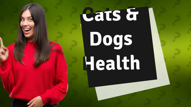Cats & Dogs Health