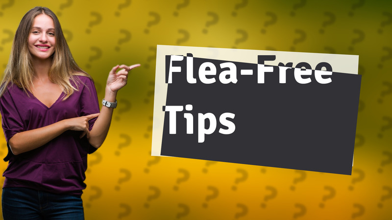 Flea-Free Tips
