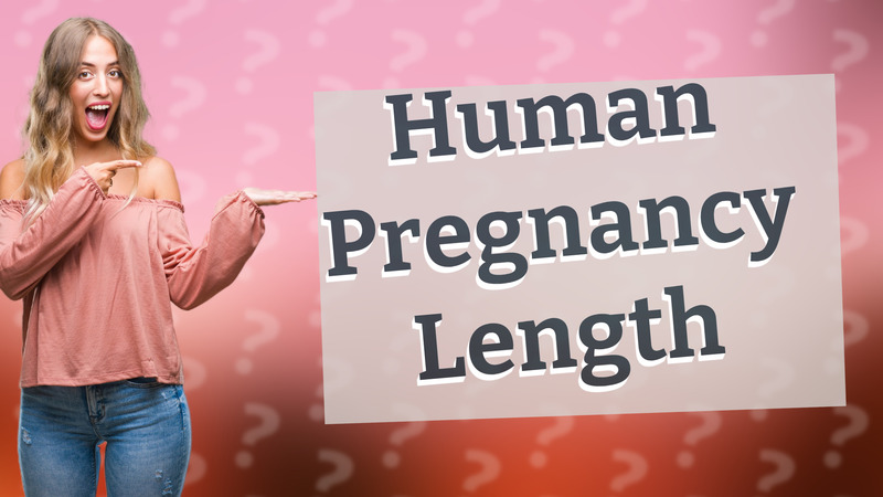 Human Pregnancy Length