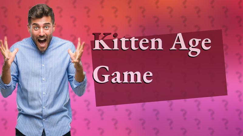 Kitten Age Game
