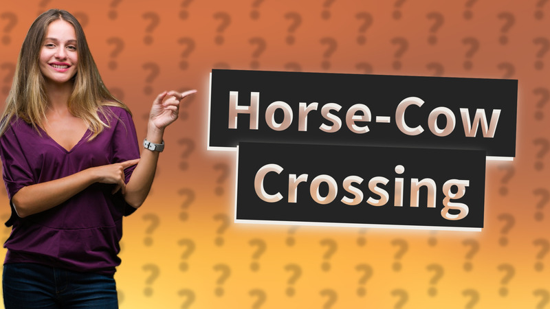 Horse-Cow Crossing