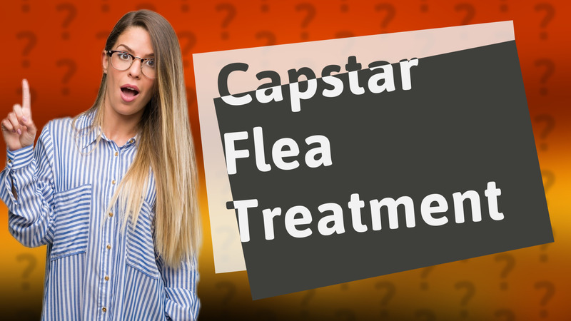 Capstar Flea Treatment