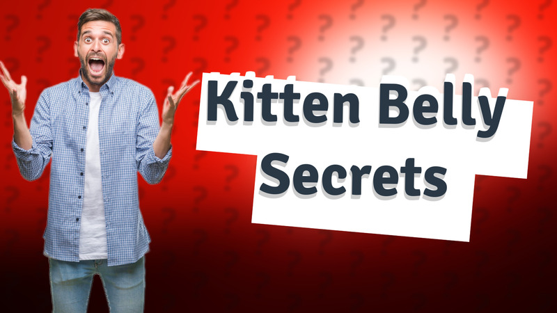 Kitten Belly Secrets
