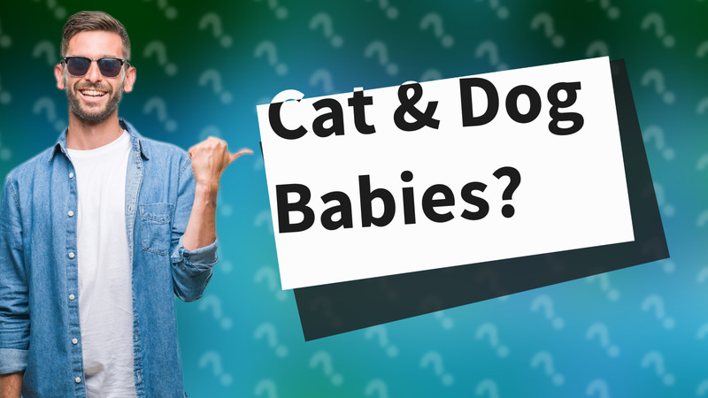 Cat & Dog Babies?
