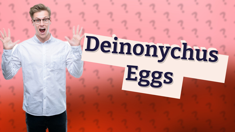 Deinonychus Eggs