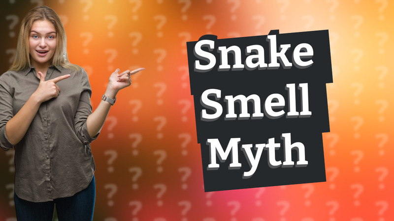 Snake Smell Myth