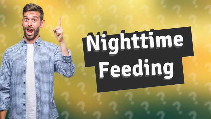 Nighttime Feeding