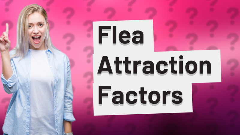 Flea Attraction Factors