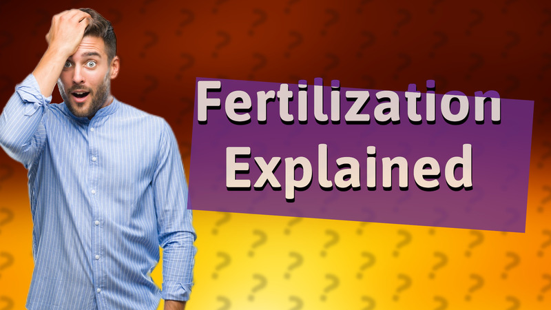 Fertilization Explained