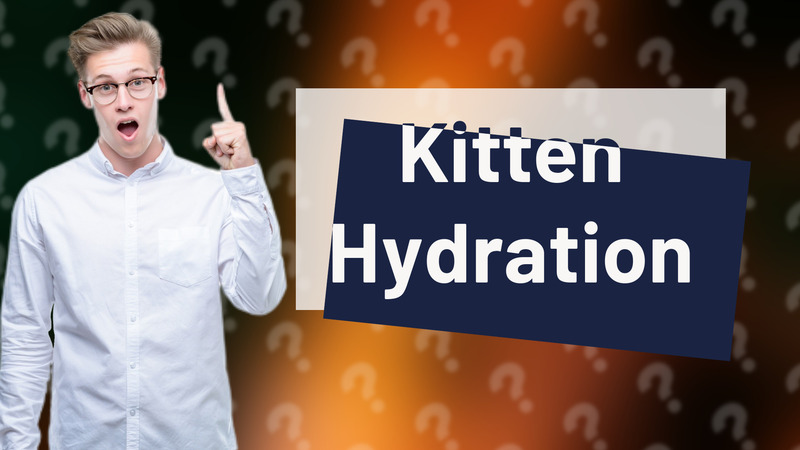 Kitten Hydration