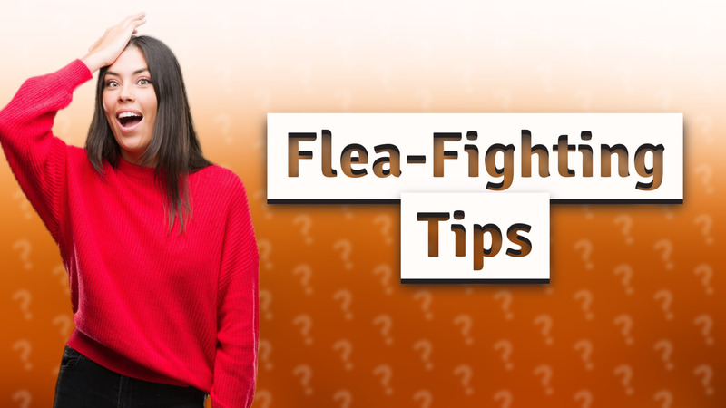 Flea-Fighting Tips