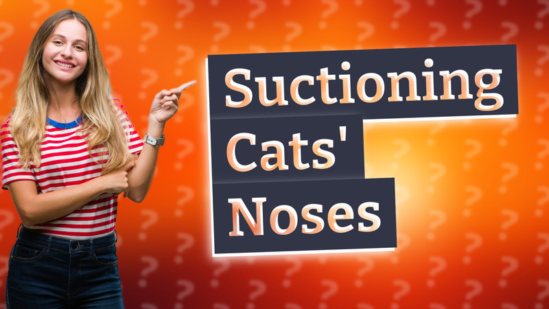 Suctioning Cats' Noses