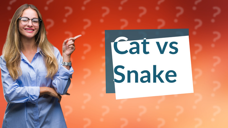 Cat vs Snake