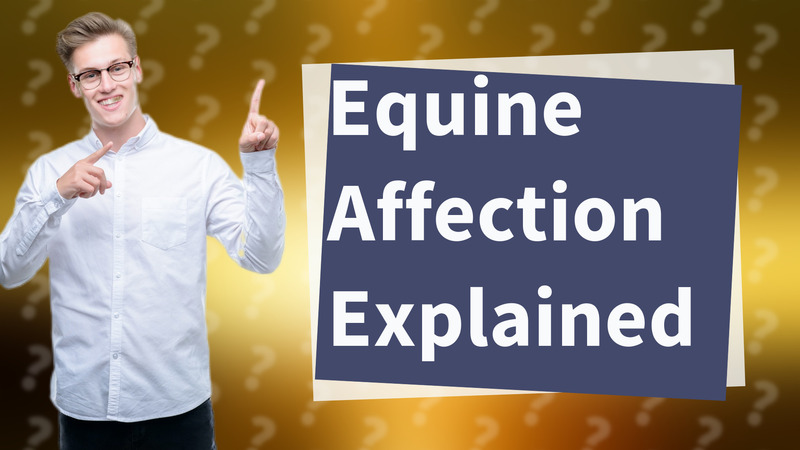 Equine Affection Explained