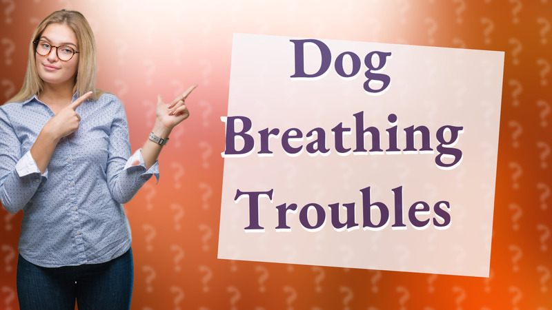 Dog Breathing Troubles