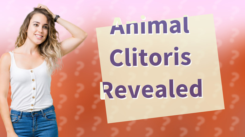 Animal Clitoris Revealed