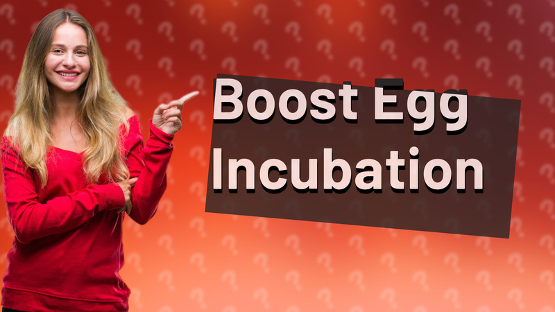 Boost Egg Incubation