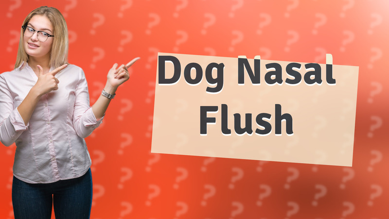 Dog Nasal Flush