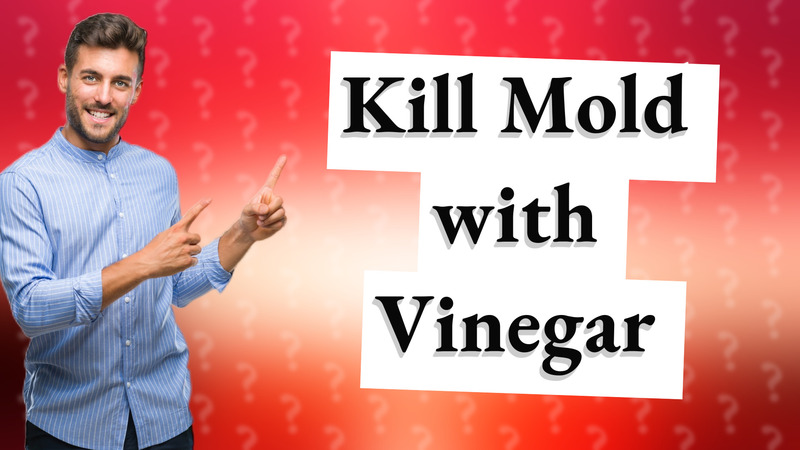 Kill Mold with Vinegar