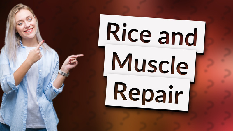 Rice and Muscle Repair