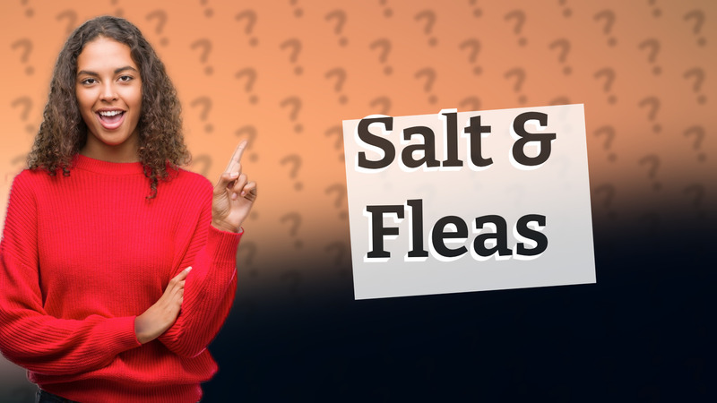 Salt & Fleas