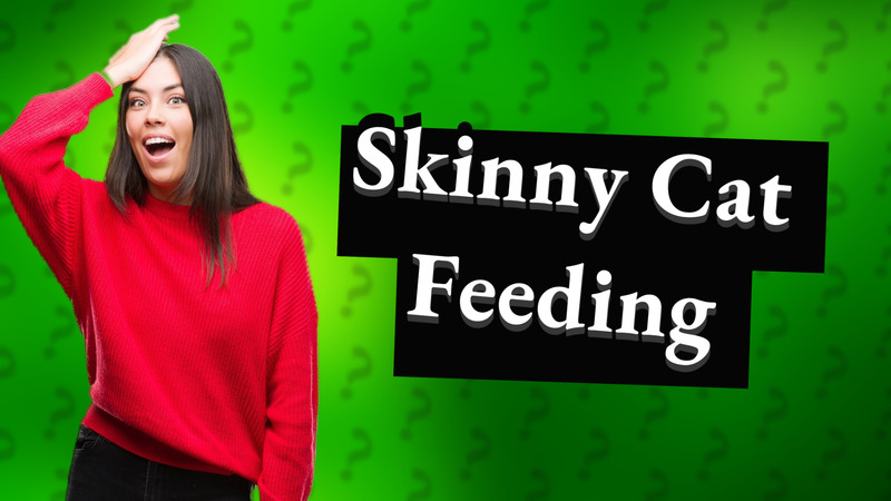 Skinny Cat Feeding