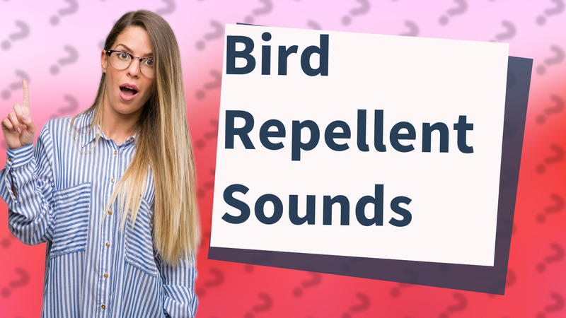 Bird Repellent Sounds