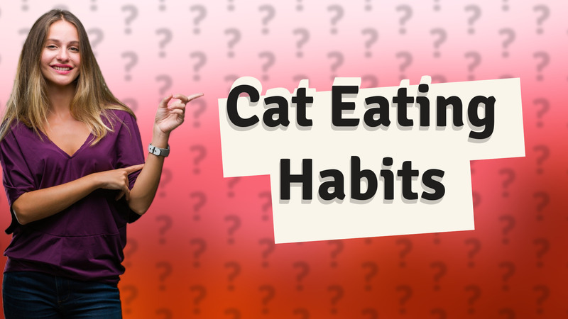 Cat Eating Habits