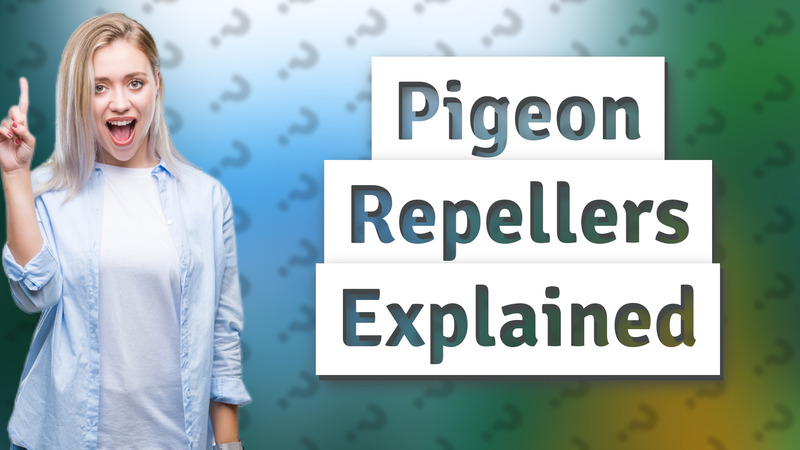 Pigeon Repellers Explained