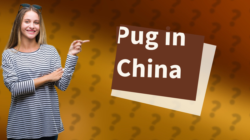 Pug in China