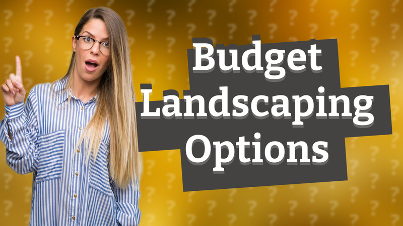Budget Landscaping Options