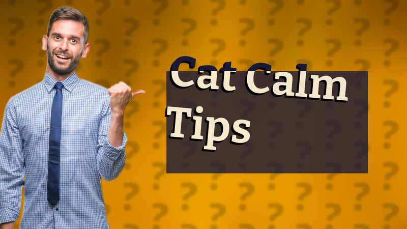 Cat Calm Tips