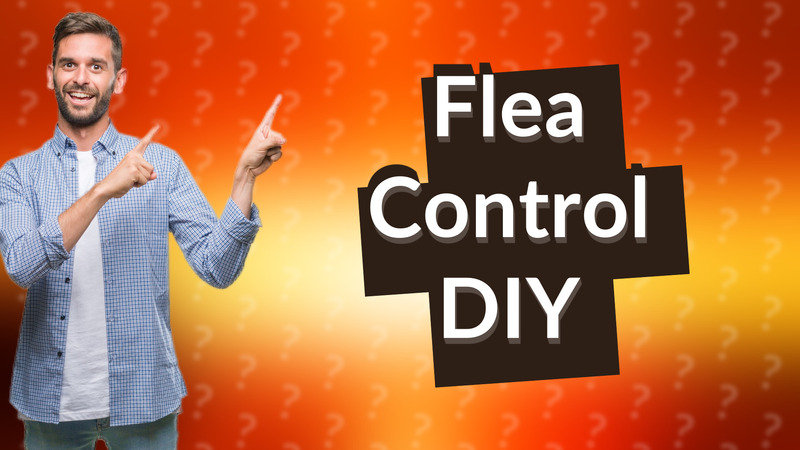 Flea Control DIY