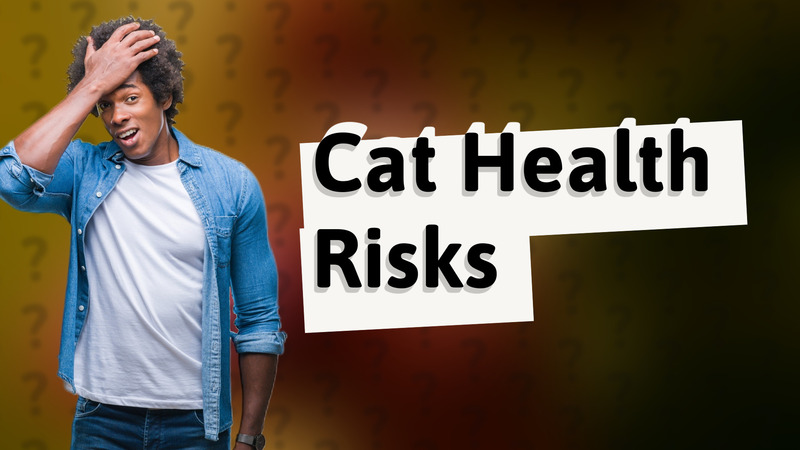 Cat Health Risks