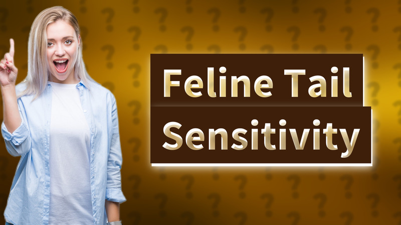 Feline Tail Sensitivity