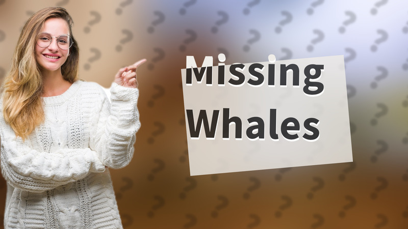 Missing Whales