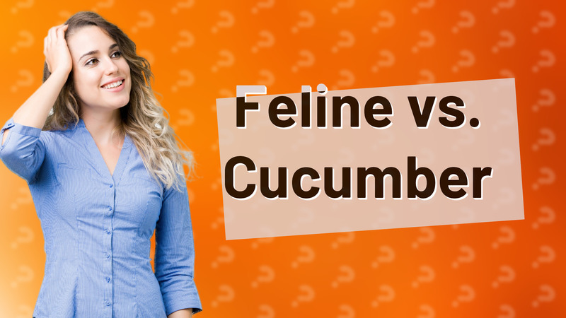 Feline vs. Cucumber