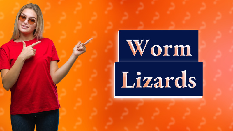 Worm Lizards