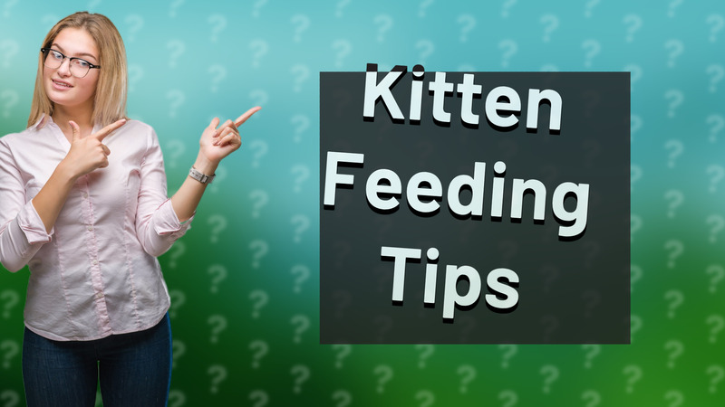 Kitten Feeding Tips