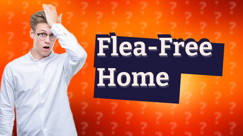 Flea-Free Home