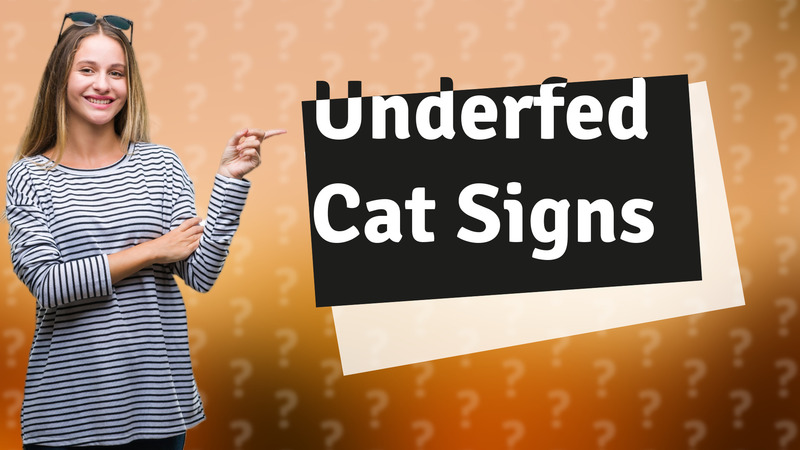 Underfed Cat Signs