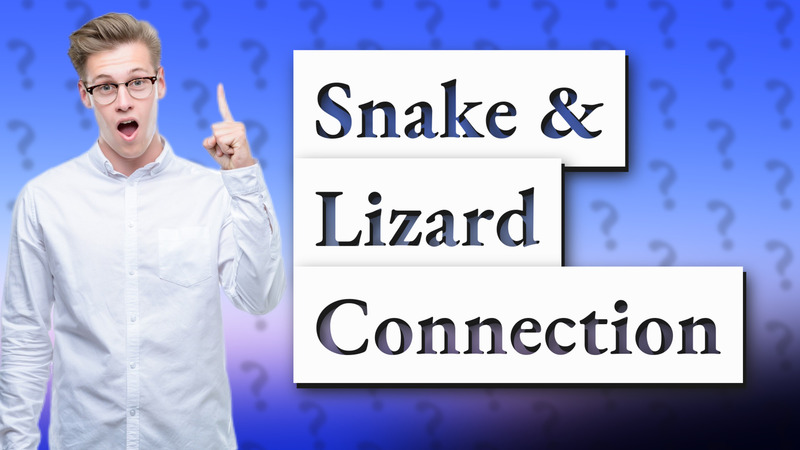 Snake & Lizard Connection