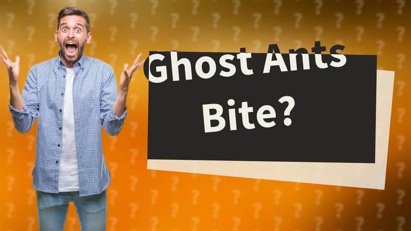 Ghost Ants Bite?